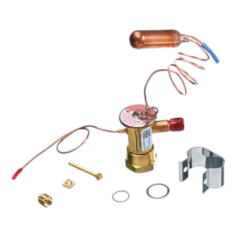 Rheem Thermal Expansion Valve