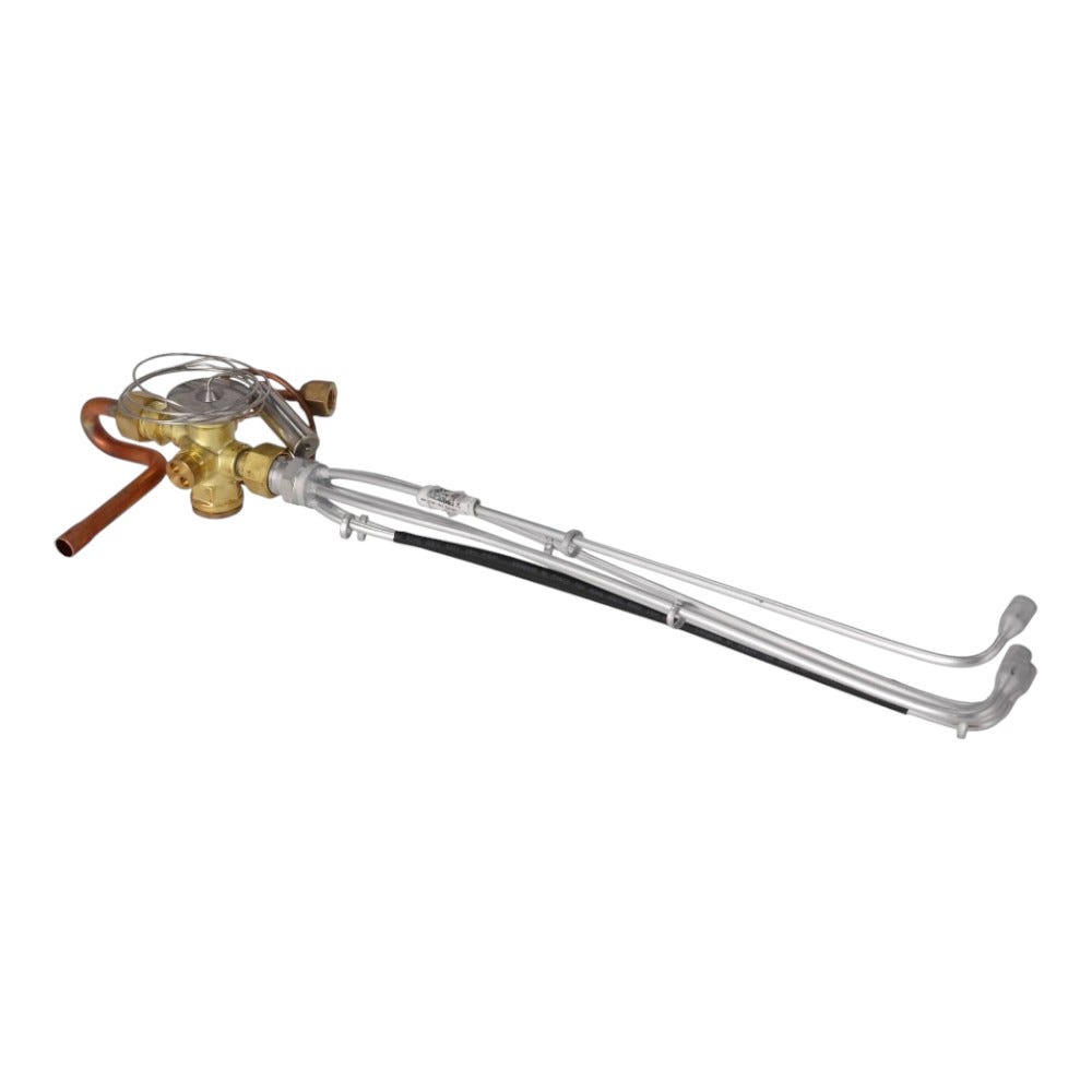Rheem Thermal Expansion Valve Kit , 61-108685-06